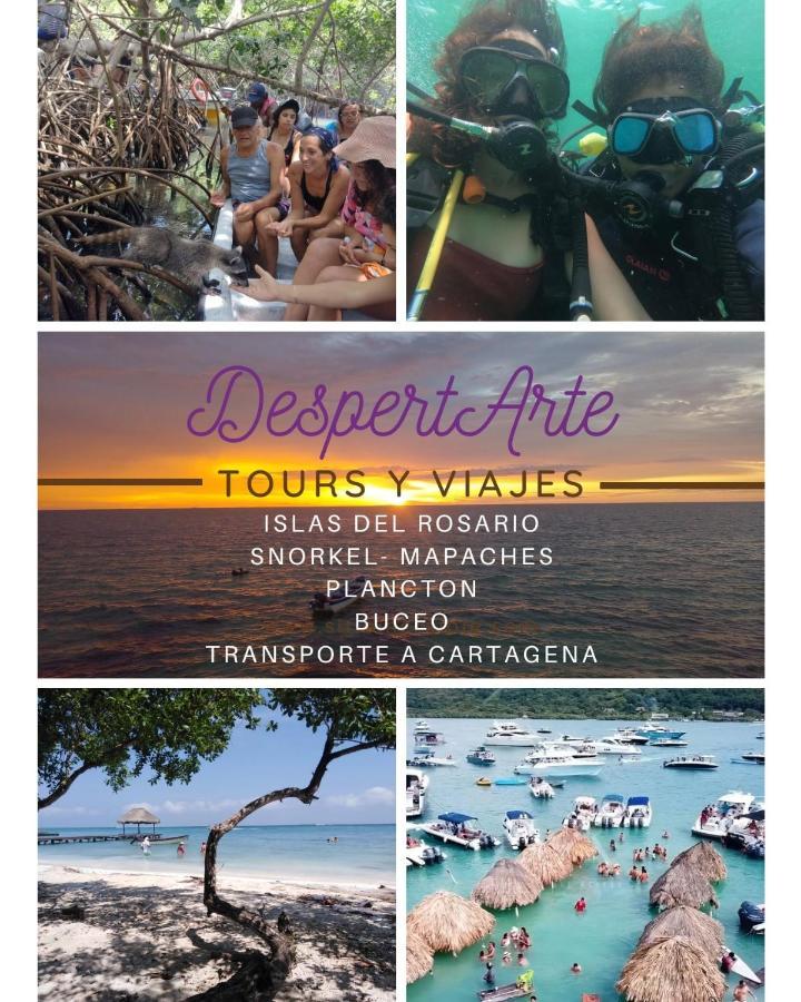 Despertarte Espacio De Arte Y Hospedaje 布兰卡滩 外观 照片