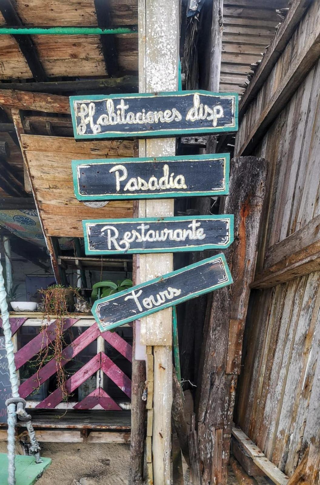 Despertarte Espacio De Arte Y Hospedaje 布兰卡滩 外观 照片
